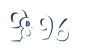 Input this protected code