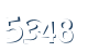Input this protected code