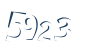 Input this protected code