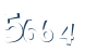 Input this protected code