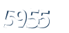 Input this protected code