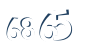Input this protected code