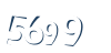 Input this protected code