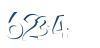 Input this protected code
