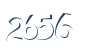 Input this protected code