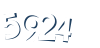 Input this protected code