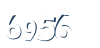 Input this protected code