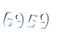 Input this protected code