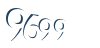 Input this protected code