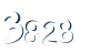 Input this protected code
