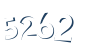 Input this protected code