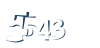 Input this protected code