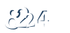 Input this protected code