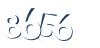 Input this protected code