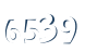Input this protected code