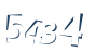 Input this protected code