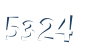 Input this protected code