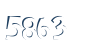 Input this protected code