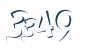 Input this protected code