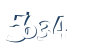 Input this protected code