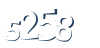Input this protected code
