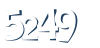 Input this protected code
