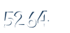 Input this protected code
