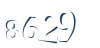 Input this protected code