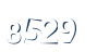 Input this protected code