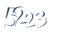 Input this protected code