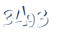 Input this protected code