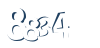 Input this protected code