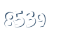 Input this protected code