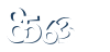 Input this protected code