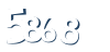 Input this protected code
