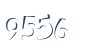 Input this protected code