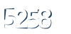 Input this protected code