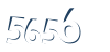 Input this protected code
