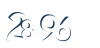Input this protected code