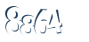 Input this protected code