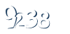 Input this protected code