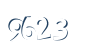 Input this protected code