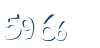 Input this protected code