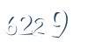 Input this protected code