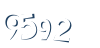 Input this protected code