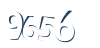 Input this protected code