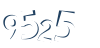 Input this protected code