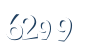 Input this protected code