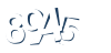 Input this protected code