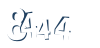 Input this protected code